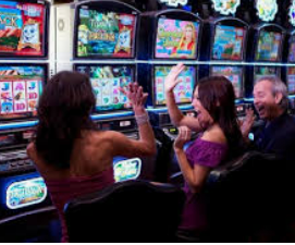 ayx官方app电脑免费版