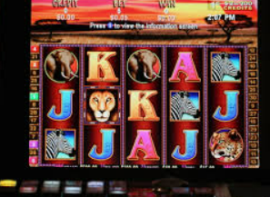 ayx官方app2024最新版